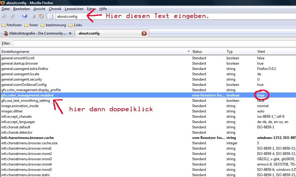 Firefox_3_fabmanagment.jpg