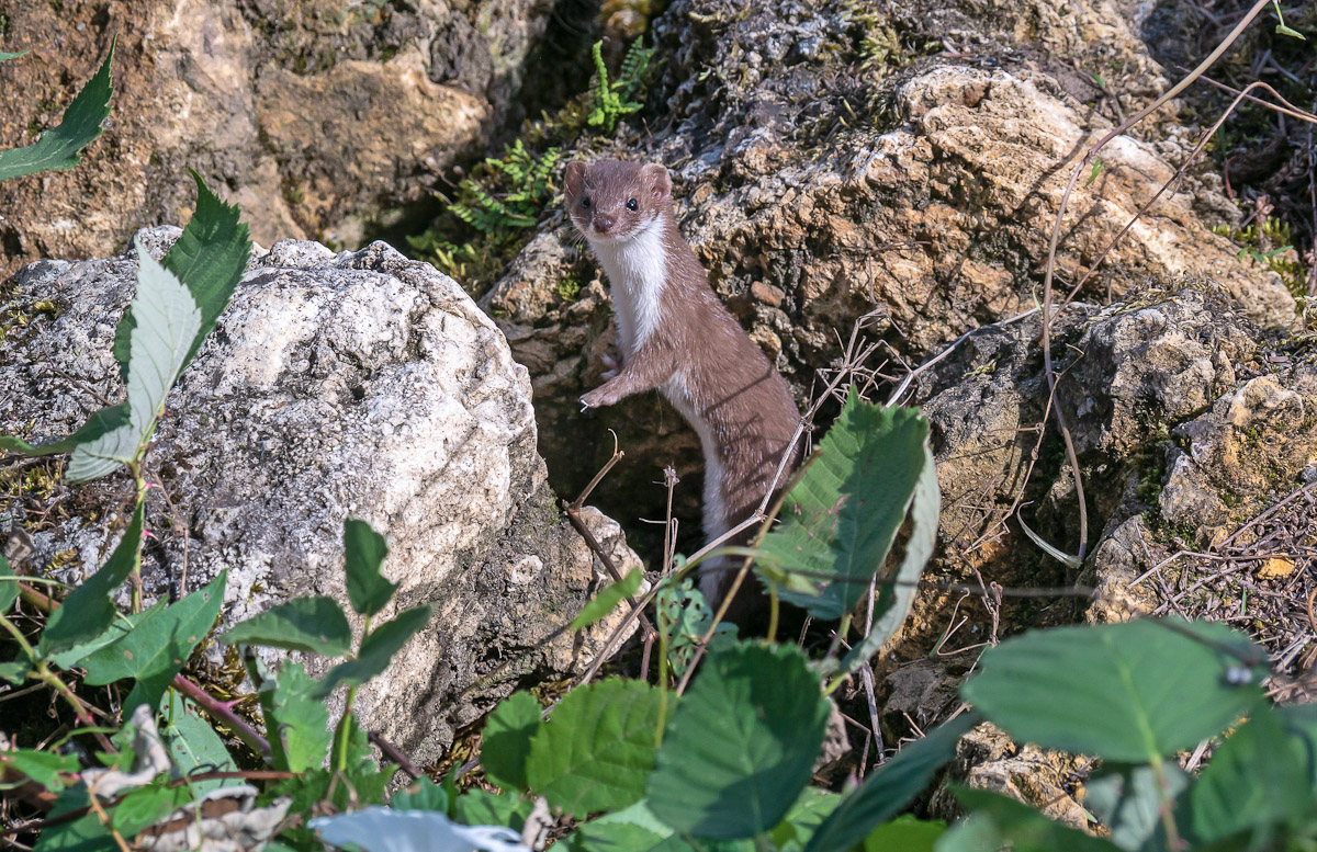 P1670846-1.jpg