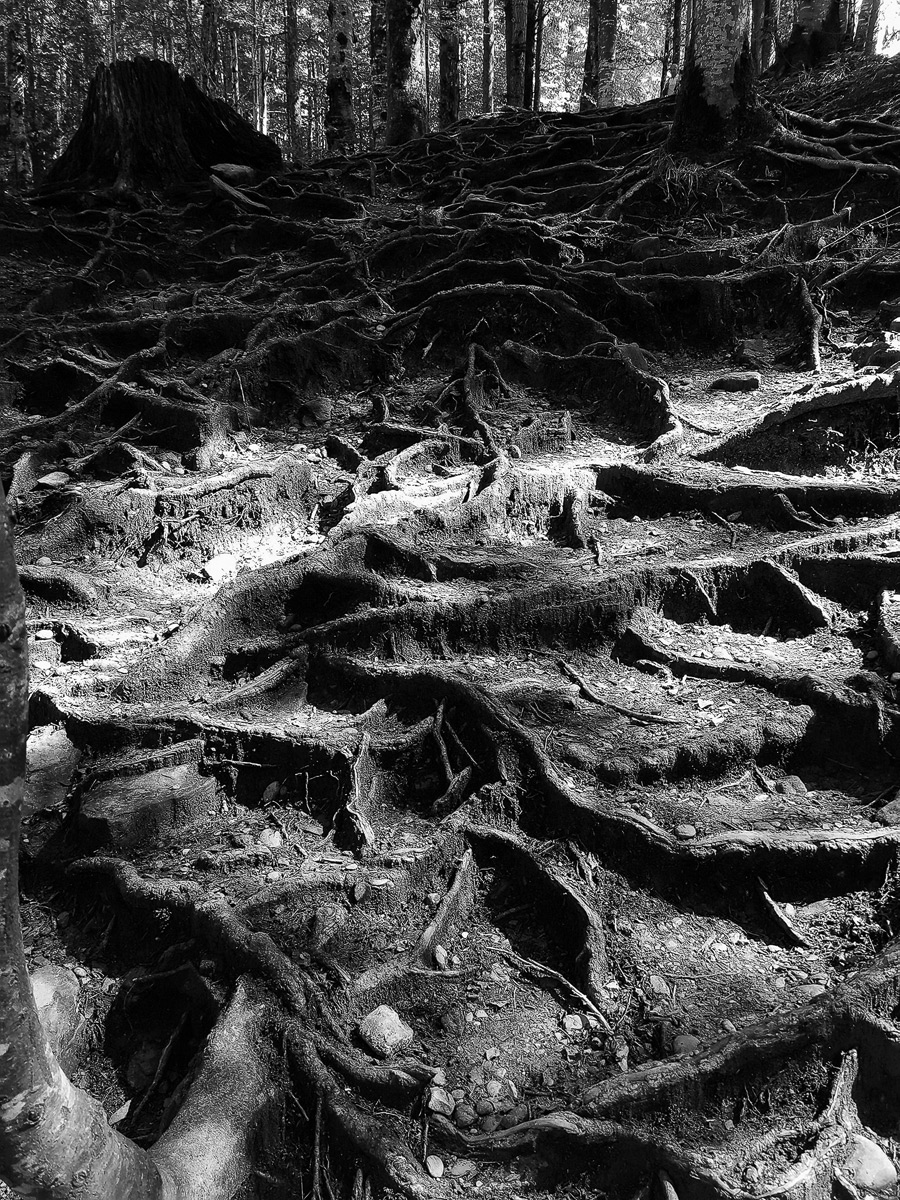 IMG_20200903_123707-verkl-sw-SEP.jpg