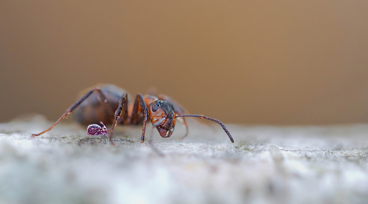 5D3_0115NP.jpg