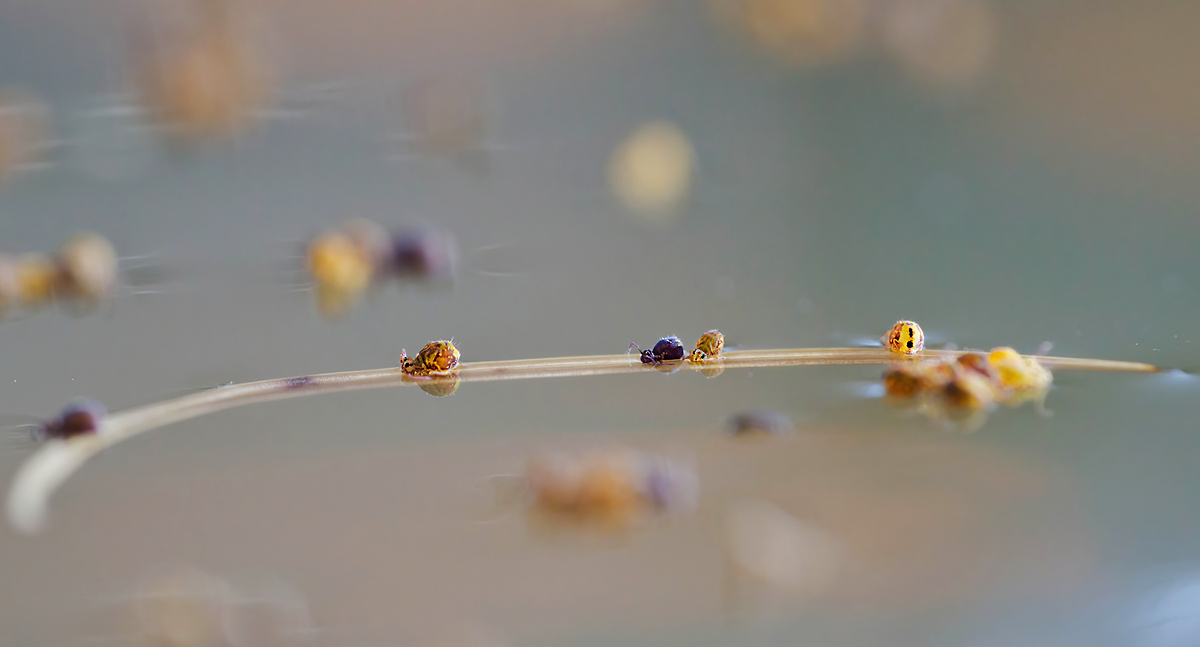 5D3_2399NP.jpg