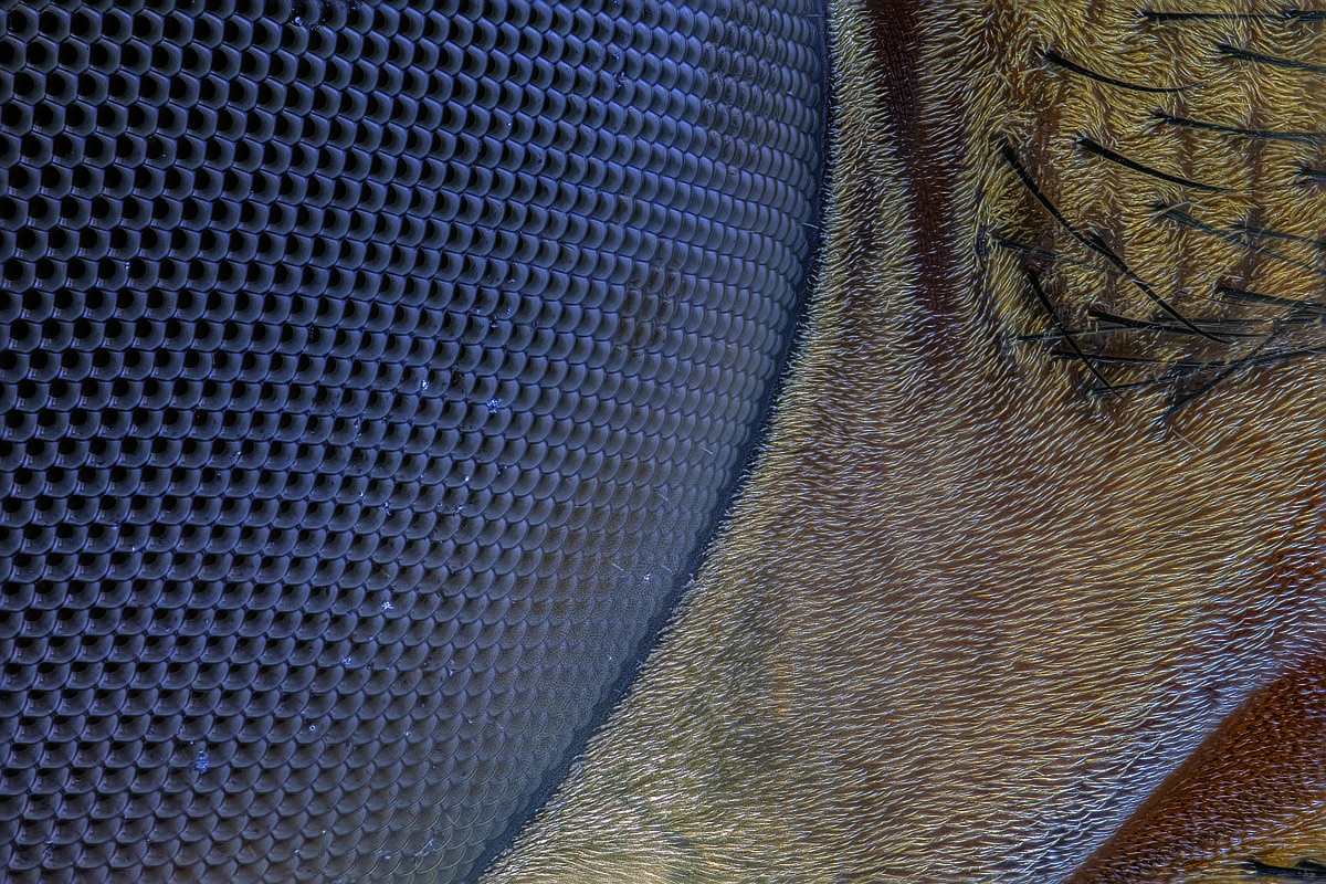 M20A42R_TPnd_WS1200_TPc_G_Q77.jpg