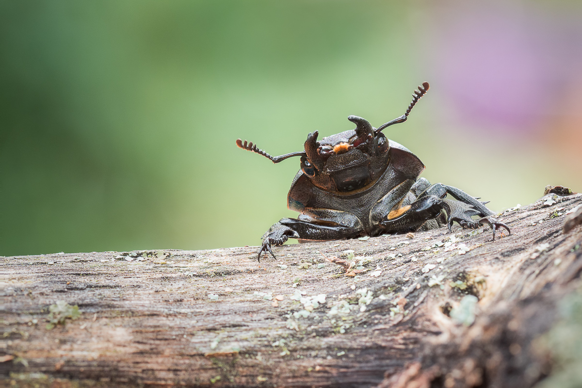 2020-06-16-21.14.43 ZS retouched-3.jpg