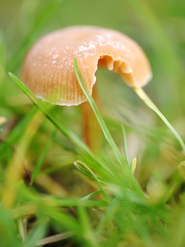 P1110593_800pxH_scheisse.jpg