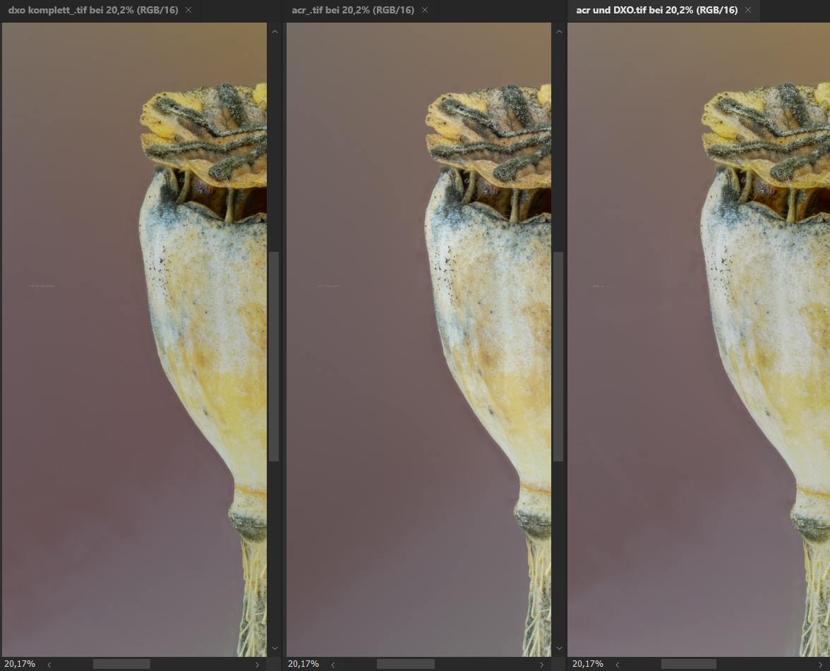 Vergleich ACR und DXO.jpg