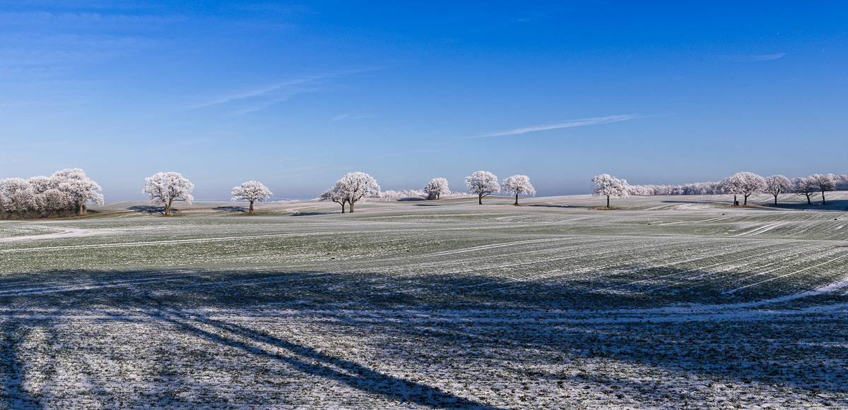 20160122-_IGP1642-Panoramadxo,web1.jpg