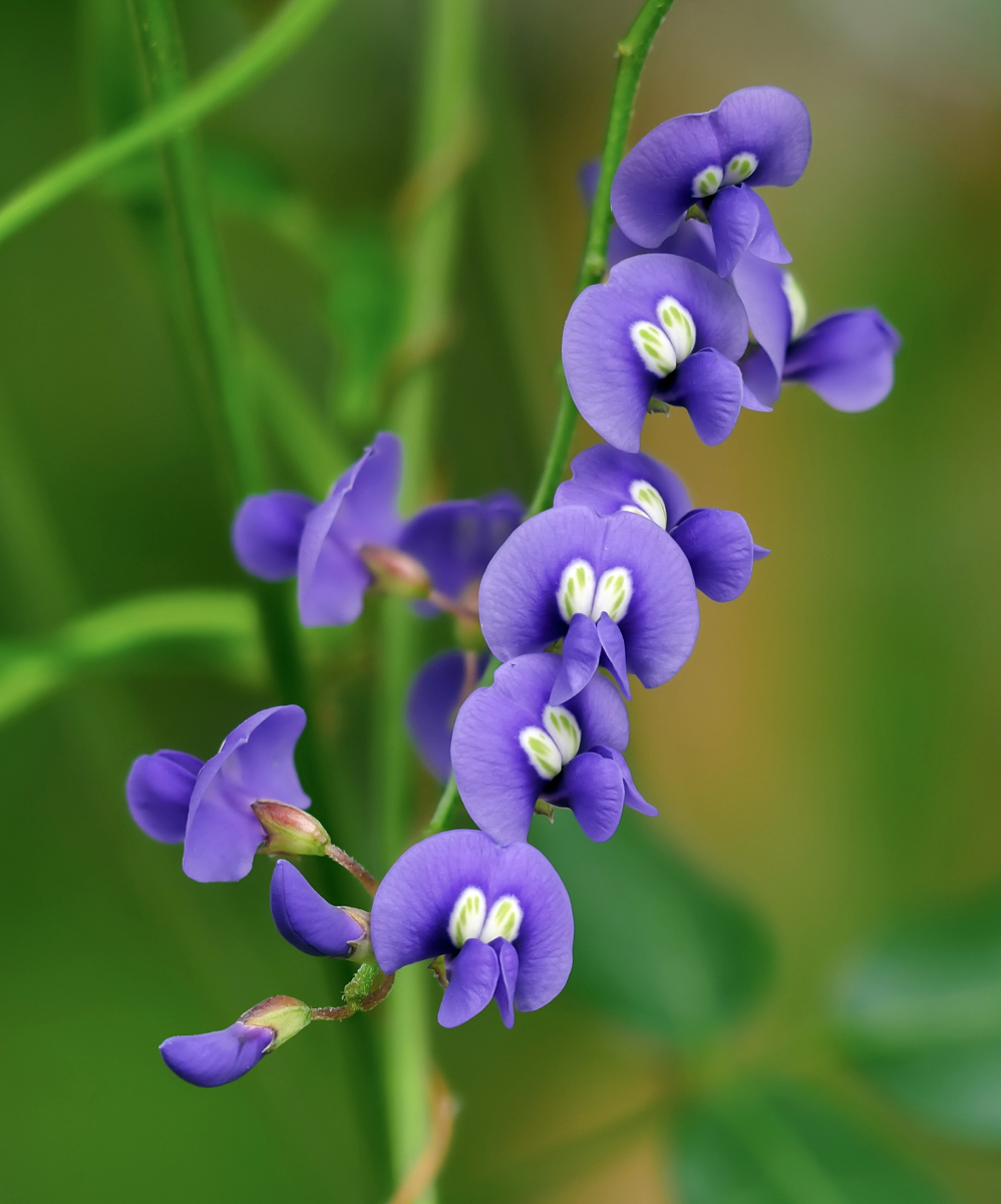 2019-01-26 16-41-44 (A,Radius8,Smoothing4).jpg