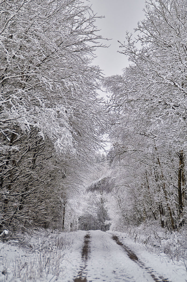 Winterweiß.jpg