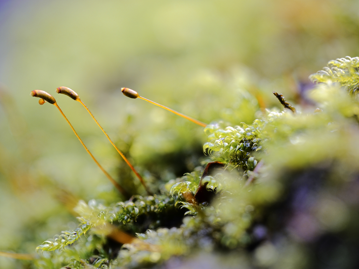 P1110927__31_1200.jpg