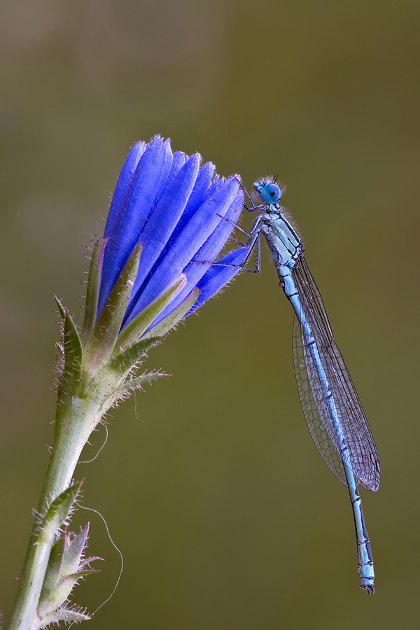 DSC_6425.jpg