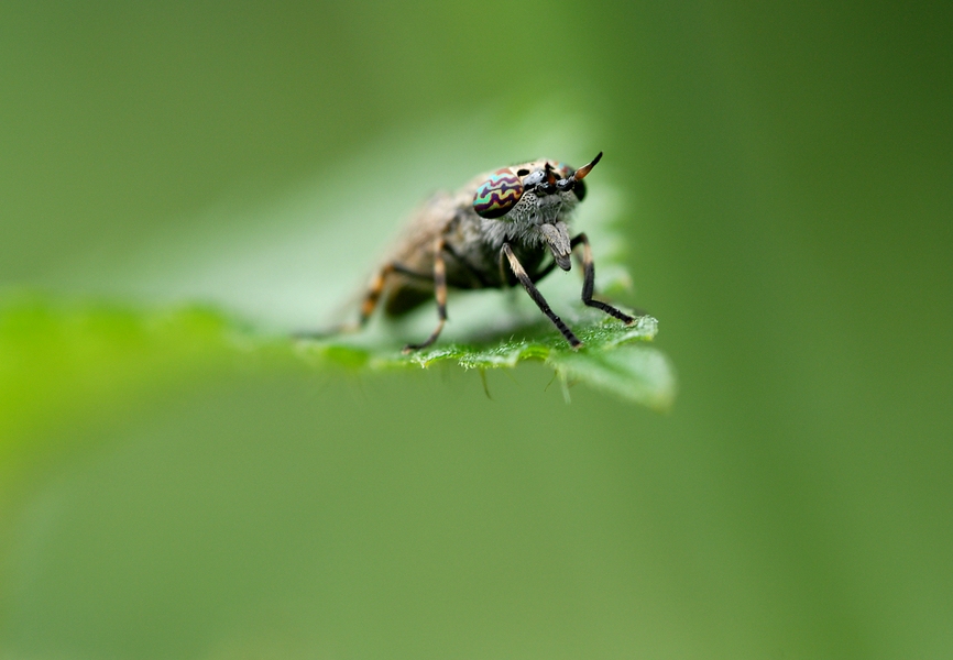 comp_DSC_3546.jpg