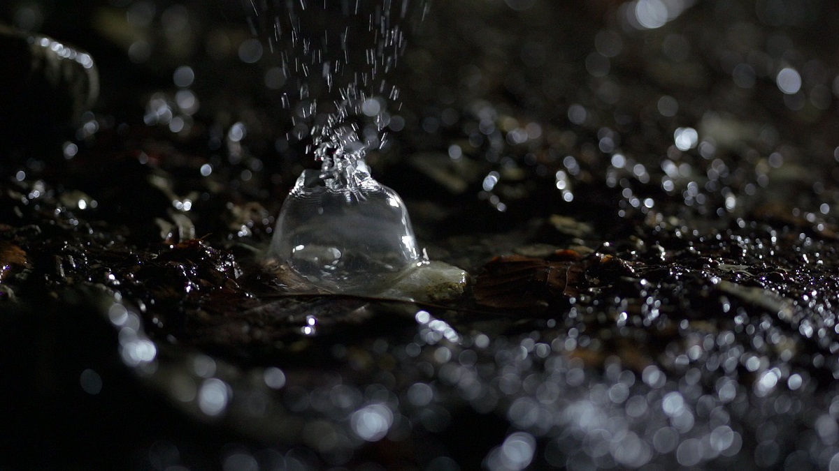 2020-06-01 Meine Fränkische Bild 32 - Kopie 1200.jpg