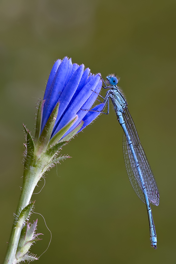 DSC_6425-Kopie.jpg