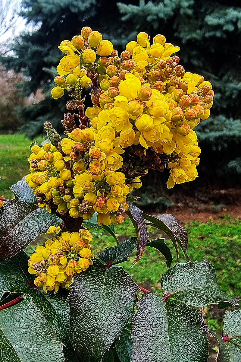 S21_WS1200_TP_K_G_Q71.jpg