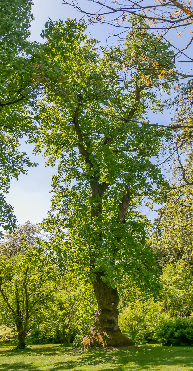 2018_05060003 - Kopie.jpg