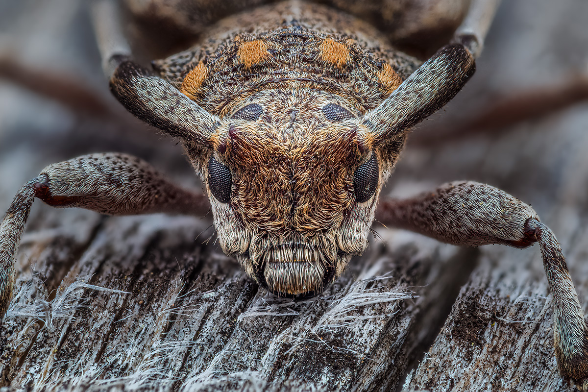 MIR-20210227-2270243-279-ZS-PMax-retouched-Bearbeitet.jpg
