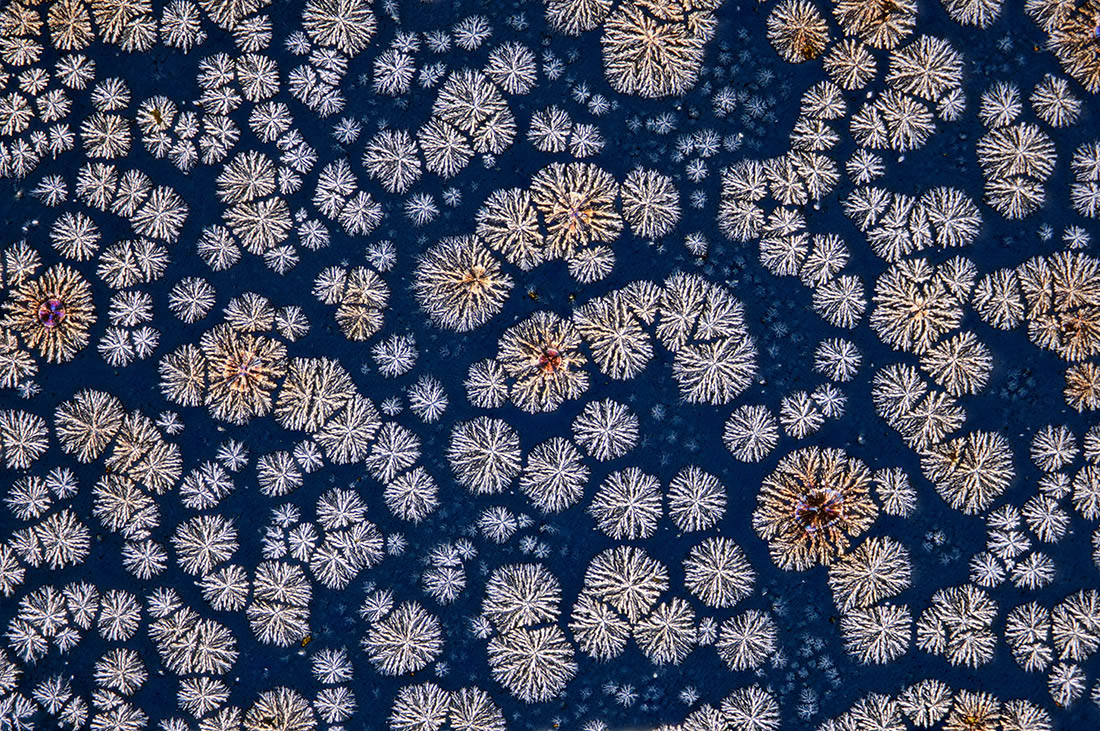 Furacilin crystals with baking.jpg