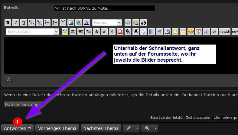 Antwort-Button-unten-Makro-Forum.de.jpg