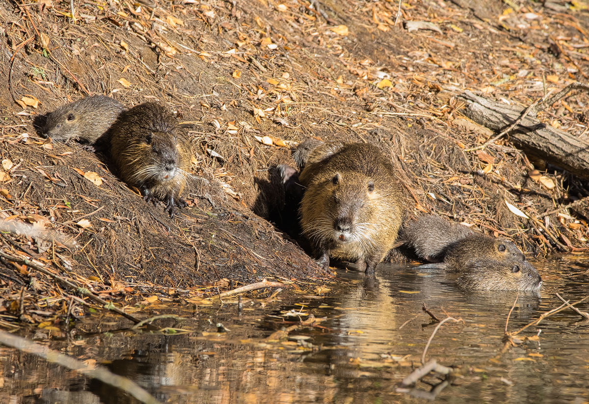 IMG_7599-Bearbeitet - Kopie.jpg