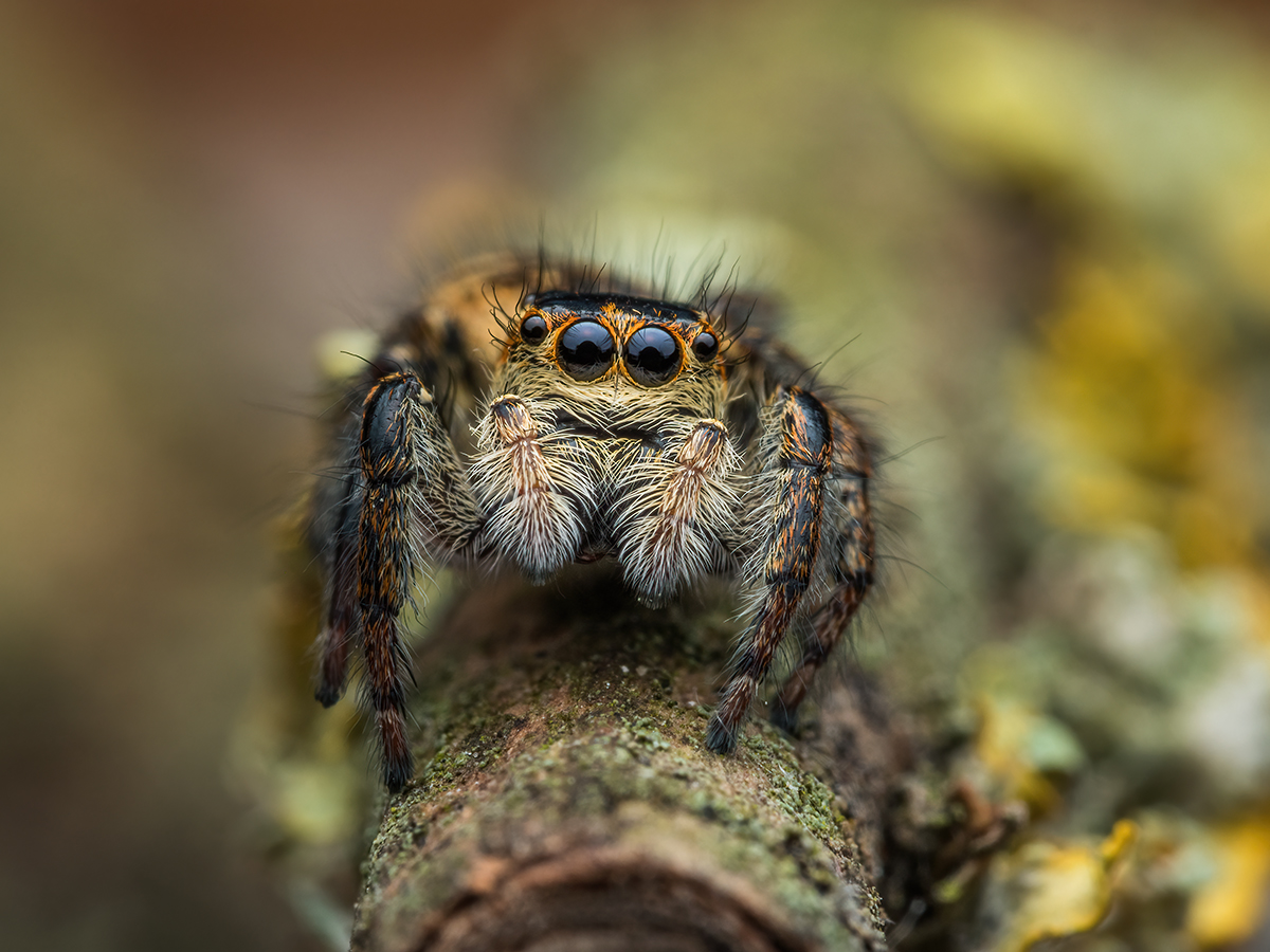 MIR-20210603-6030105-Bearbeitet.jpg