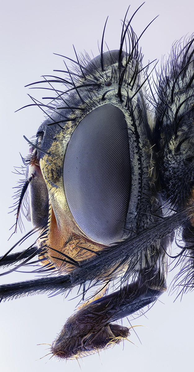 M5_TPnd_WS1200_TPc_G_K_Q95.jpg