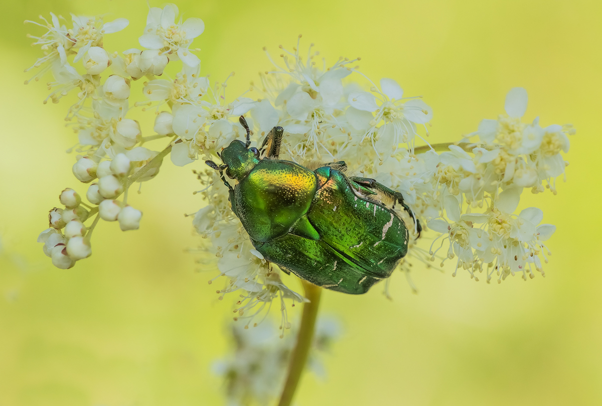 _MG_3041-Bearbeitet - Kopie.jpg