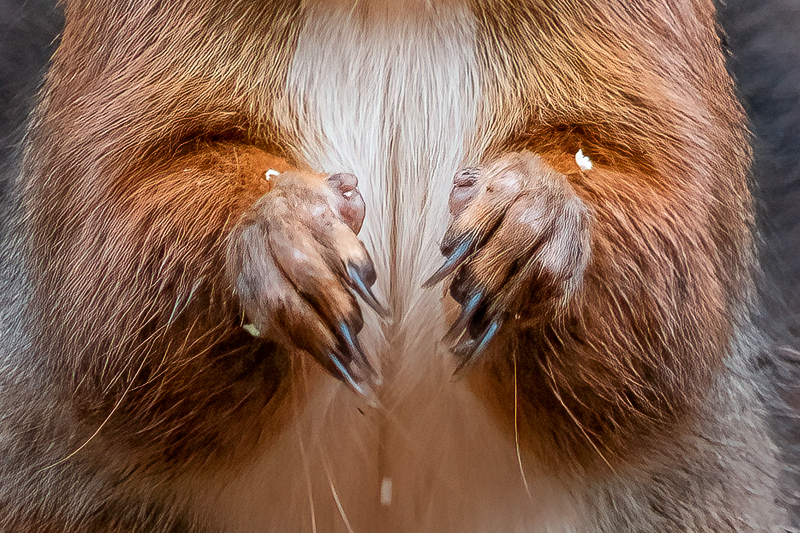 PB061875-Bearbeitet---Kopie-II.jpg