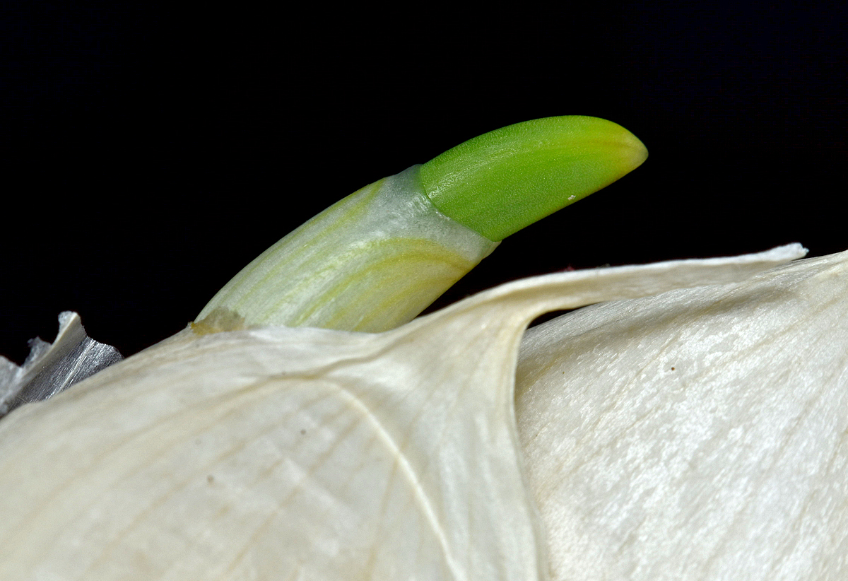DSC_0140.jpg