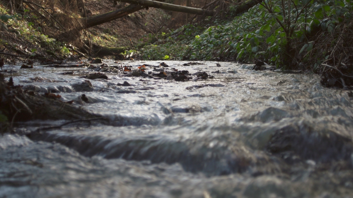 2021-06 Käswasser Schlucht Bild 1 1200.jpg