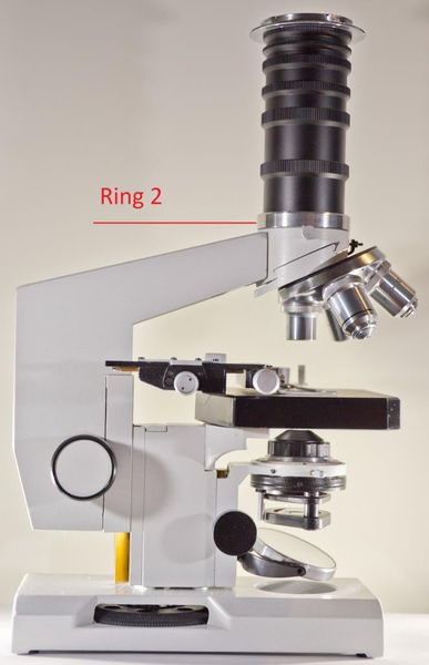 ring_2.jpg