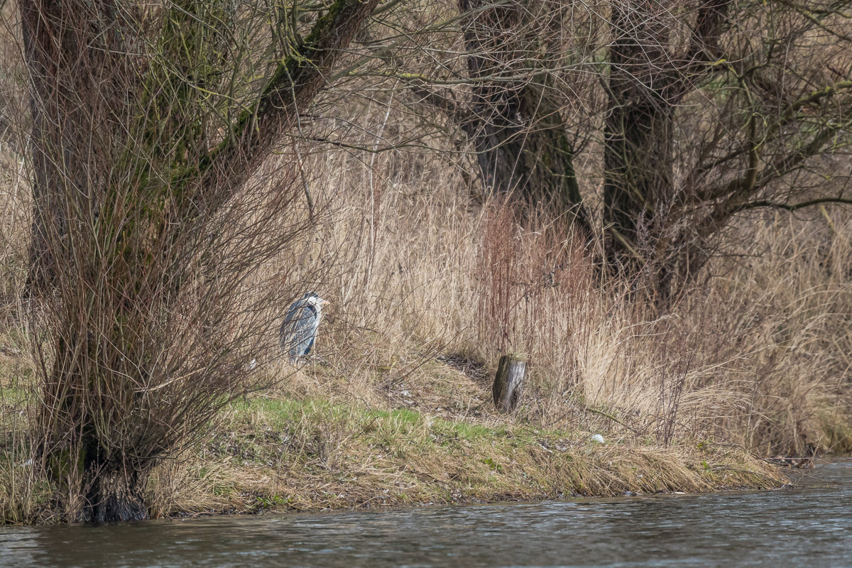 IMG_4203_ - Kopie.jpg