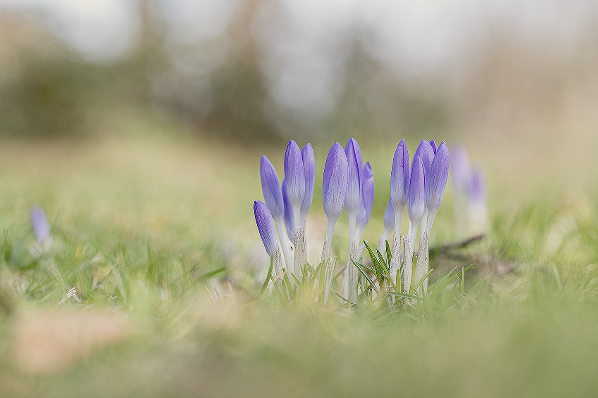 20220212N78_4272-bb.jpg