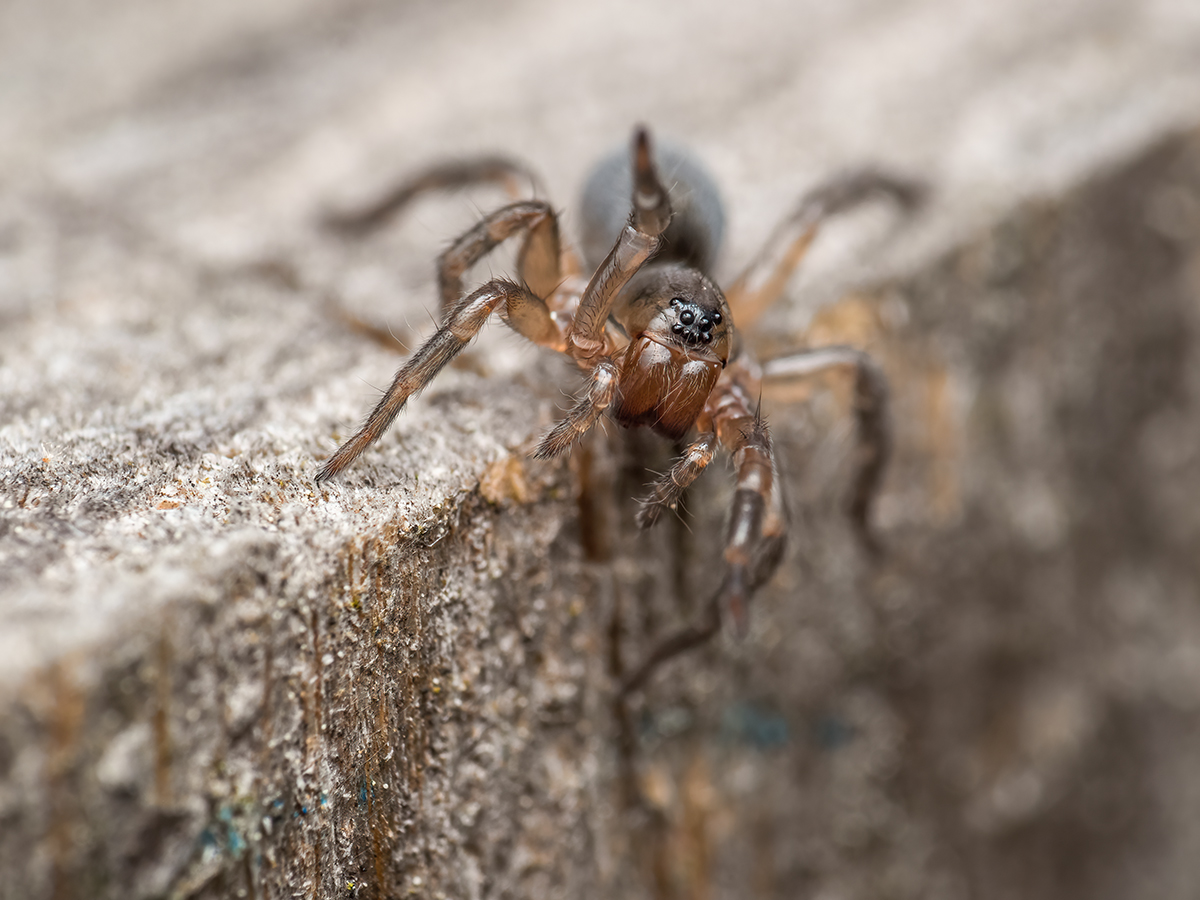 MIR-20210523-5230131-Bearbeitet.jpg