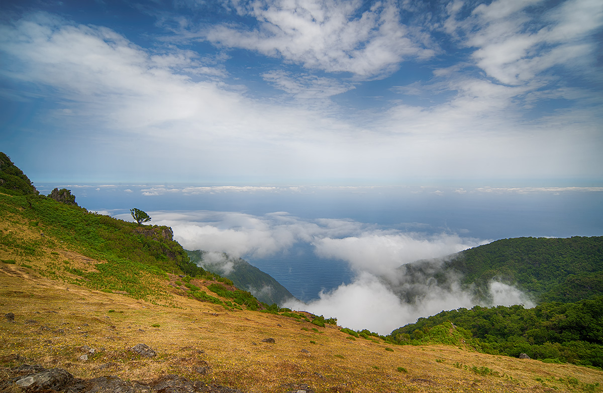 DSC01425.c.kl Kopie.jpg