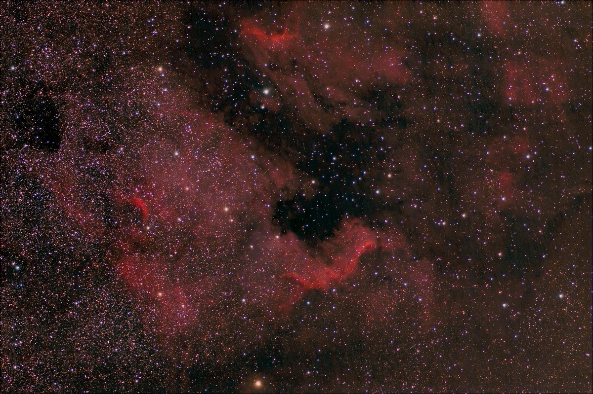 204x30 800_5for.jpg