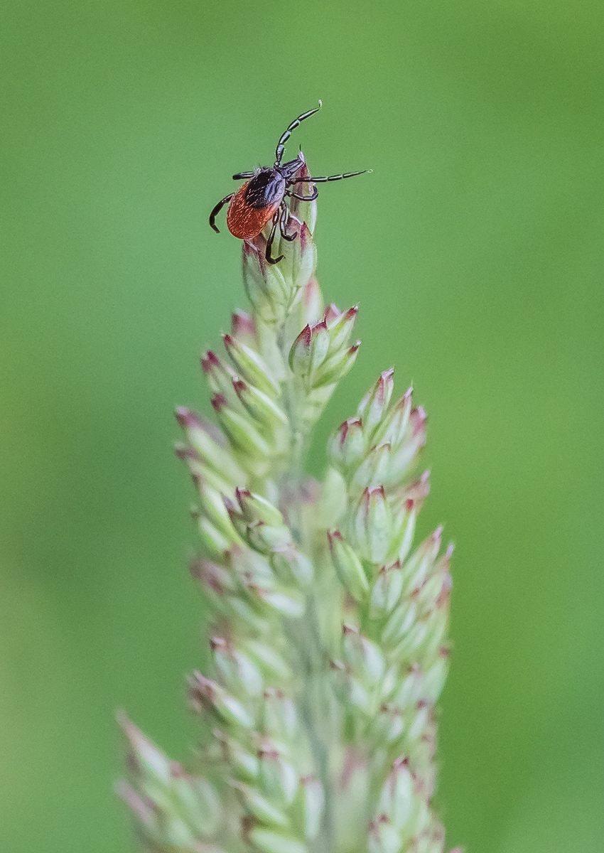 _MG_0685-Bearbeitet - Kopie.jpg