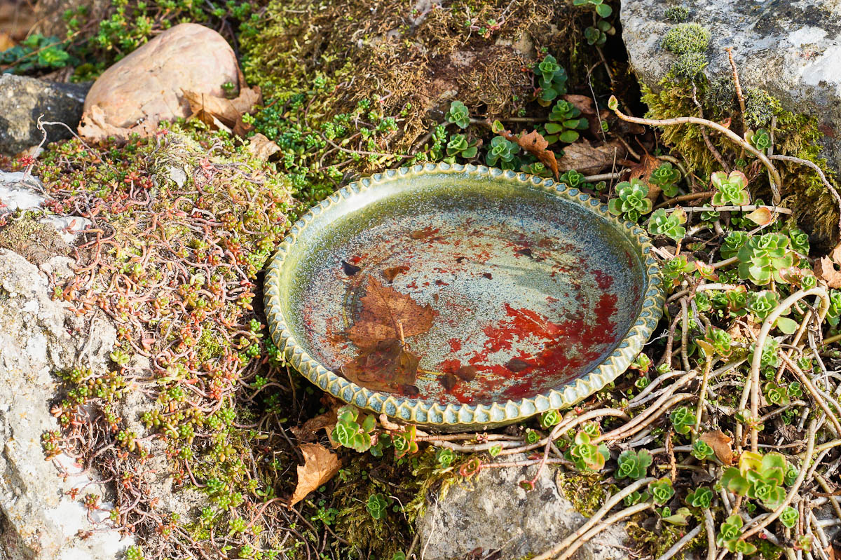 Wasserschale 1.jpg