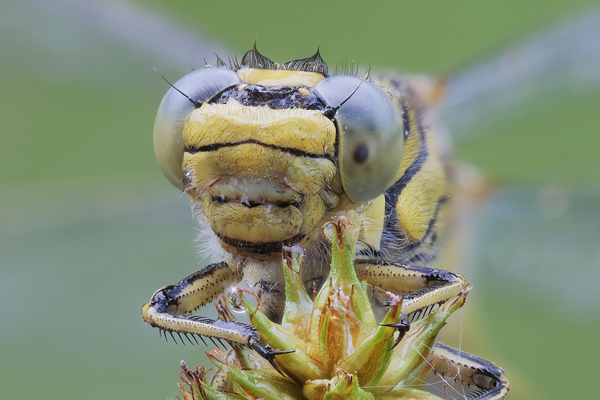 lib-stack-333240-399.jpg