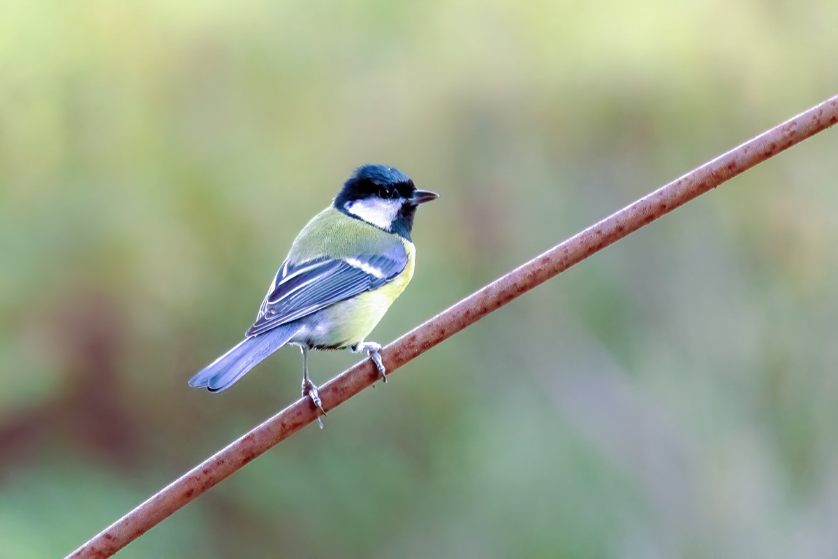 8W5A7837 5 klein.jpg