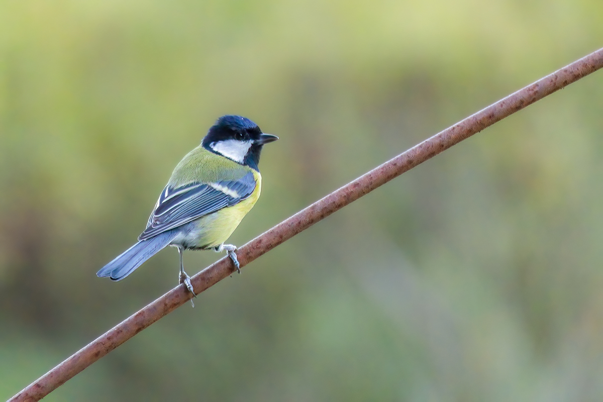 8W5A7837 neu klein.jpg