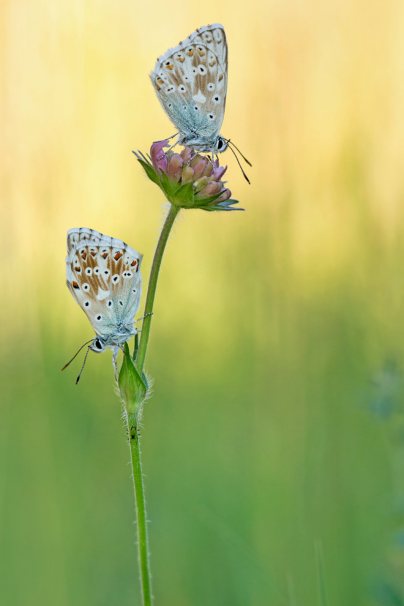 _MG_5572-Bearbeitet1 Kopie.jpg