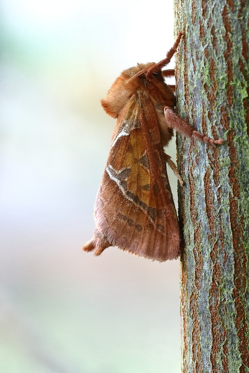 IMG_9569_rss.JPG