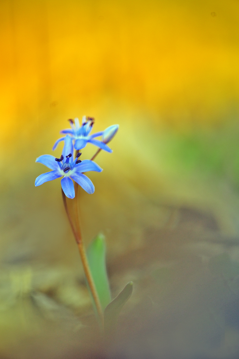 DSC_9441vkneu++++.jpg