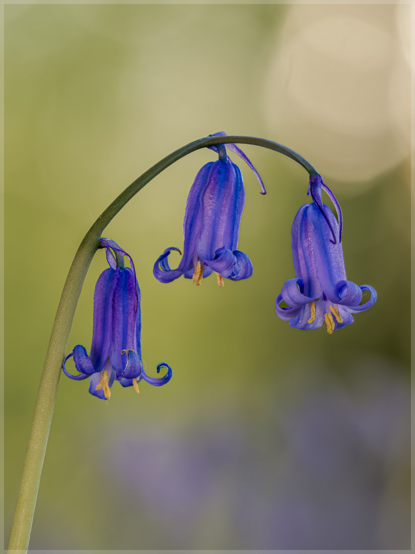 230503_For_91800FS.jpg