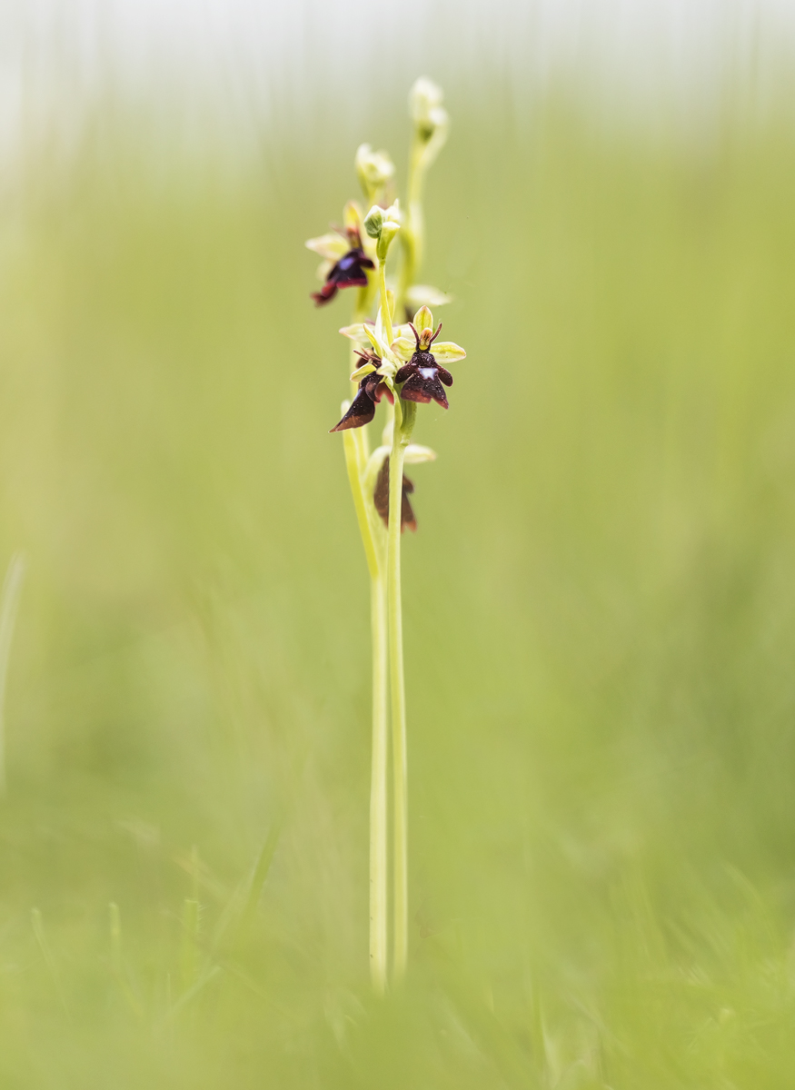 _MG_0680-Bearbeitet - Kopie.jpg
