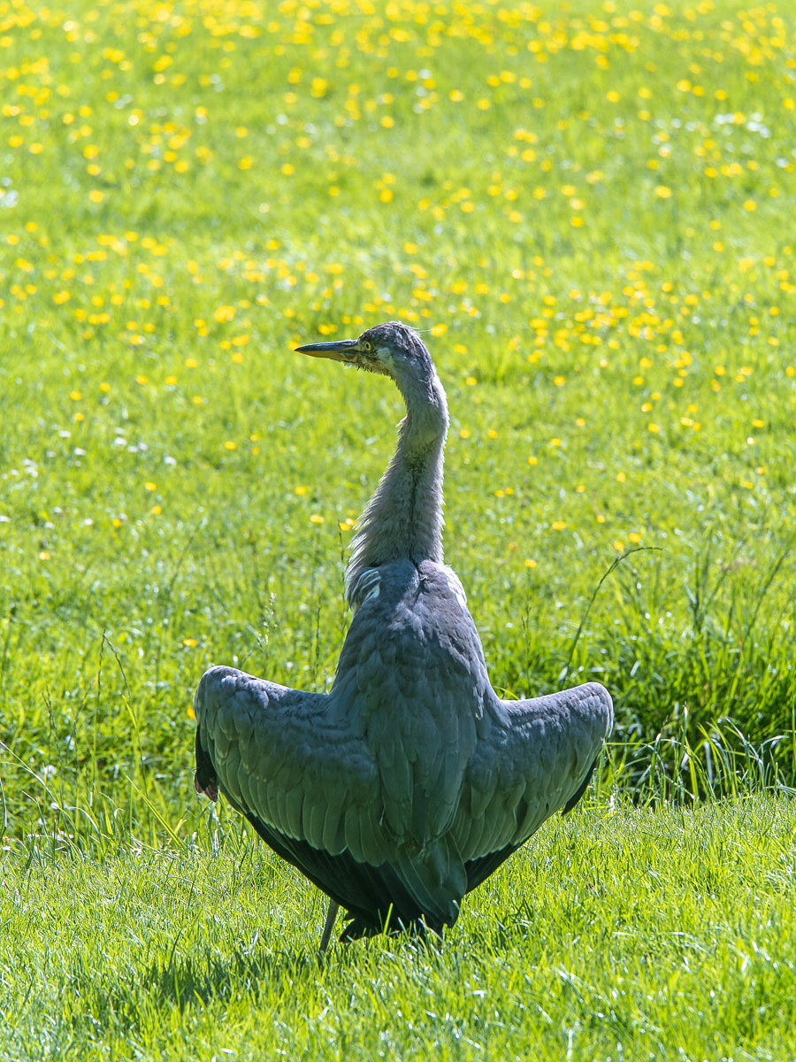 20230524-P1026399-RW2.jpg