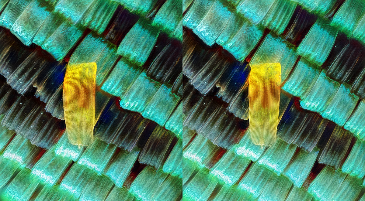 CROSS_M50_3D_1200PX_Q85.jpg