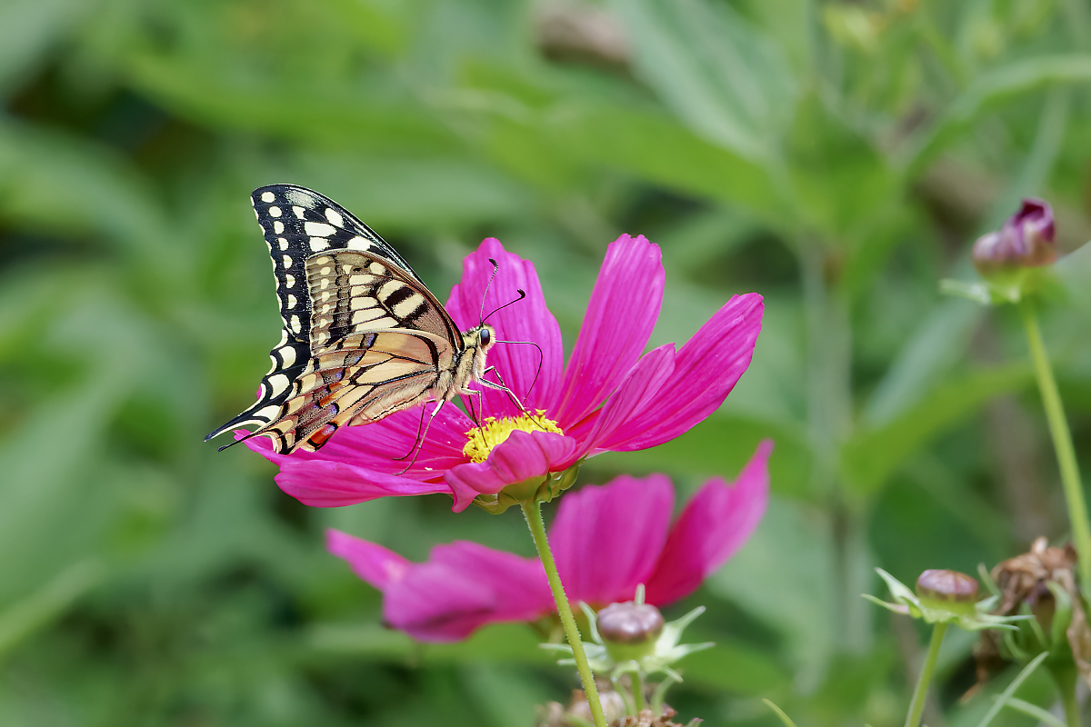 8W5A2768_DxO_DxO.jpg
