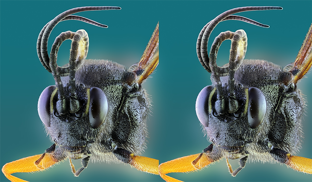 CROSS_M5_3D_L+RTPnd_Crop_TPc_G.jpg