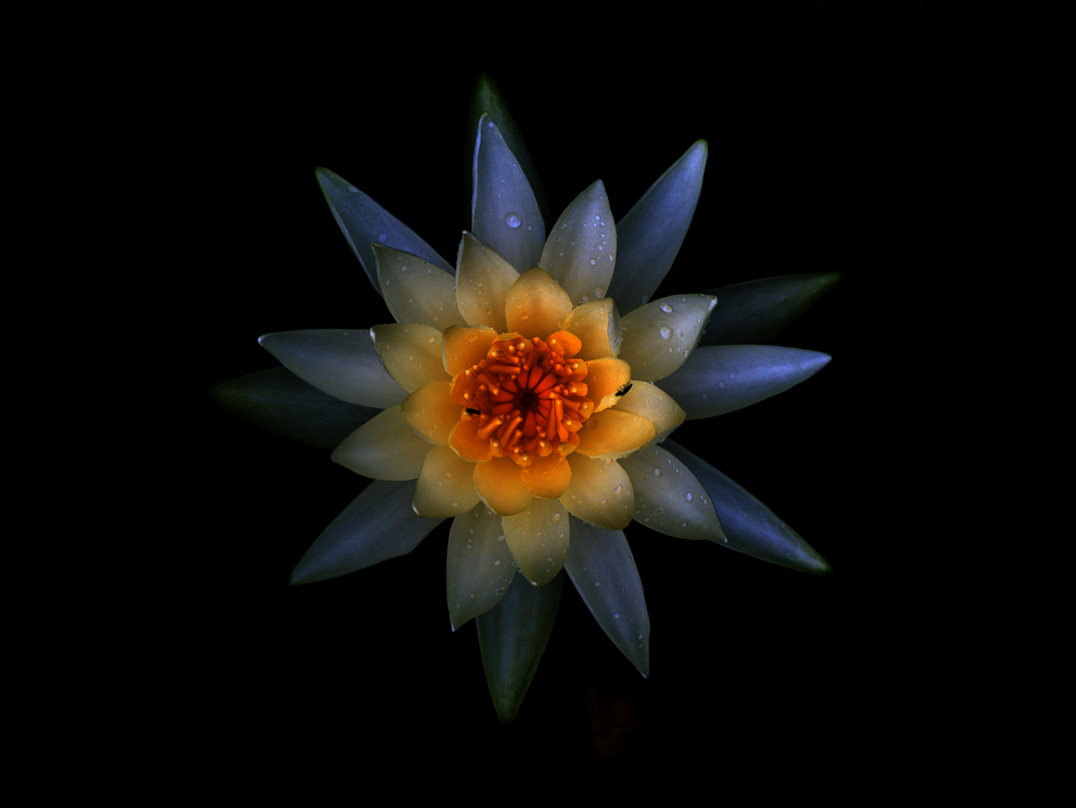 20230827-20230827-2023-.jpg